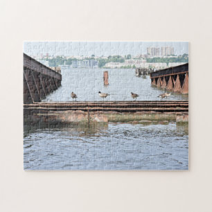 Quebra-cabeça Patos na Fotografia da Nova Iorque do Rio Hudson