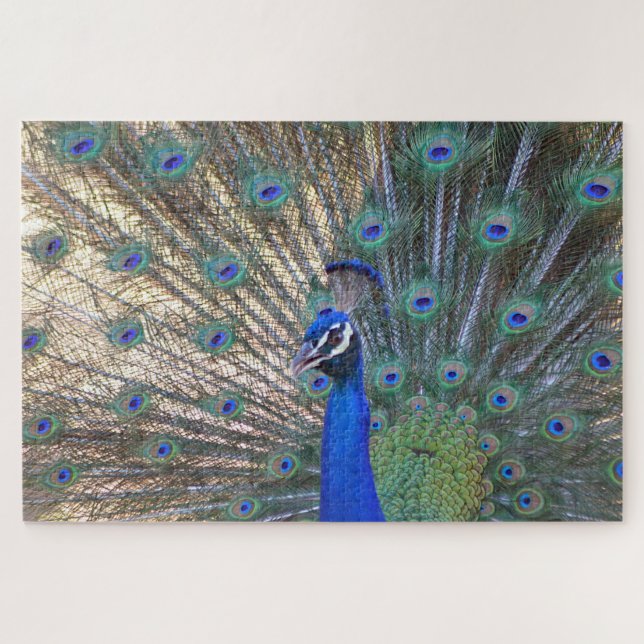Quebra-cabeça Pavão de Beleza Azul (Horizontal)