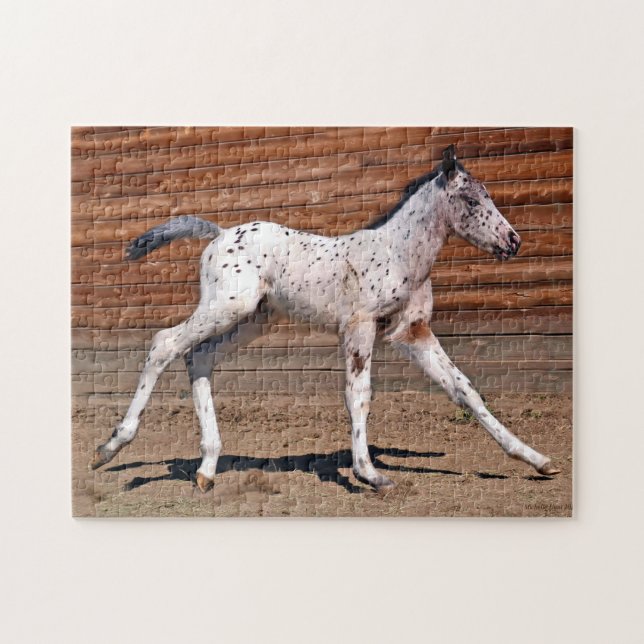 Quebra-cabeça Pé de Cavalo Appaloosa em Corrida (Horizontal)