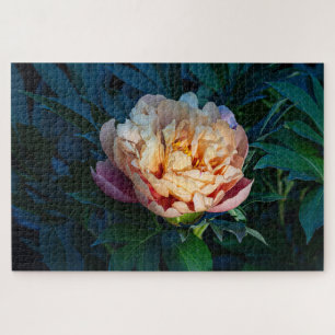 Quebra-cabeça Peach Peony - Fotografia Romântica da Flor