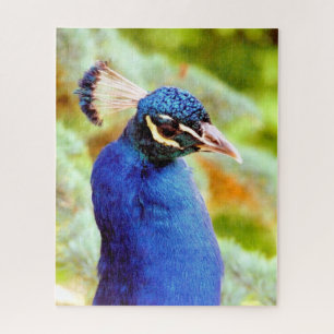 QUEBRA-CABEÇA PEACOCK 
