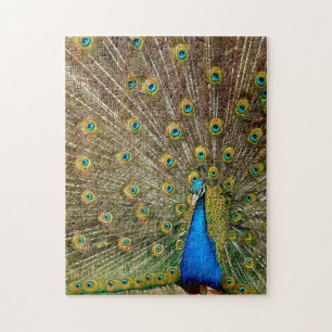 Quebra-cabeça Peacock Pattern Peacock Trabalho de arte Painting