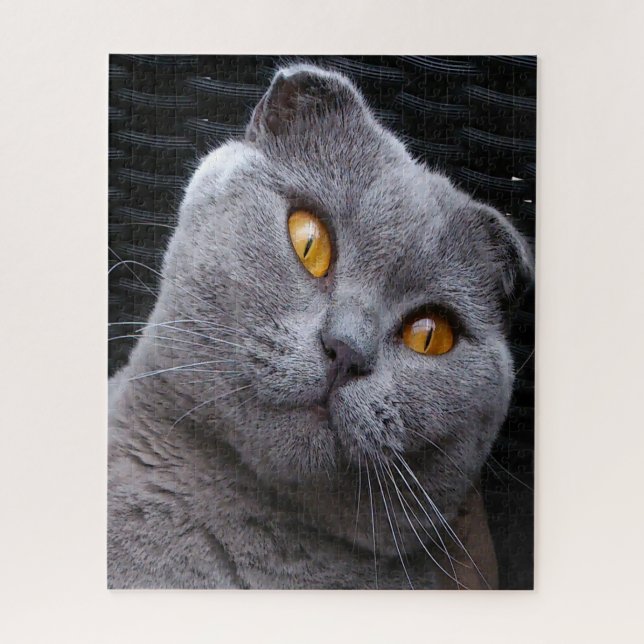 Quebra-cabeça Pedigree do Gato Scottish Fold (Vertical)