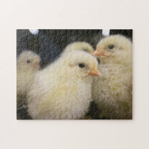 Quebra-cabeça Peeps