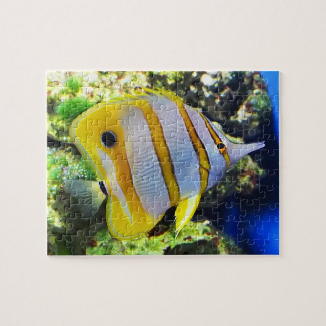 Quebra-cabeça Peixe-borboleta (Horizontal)