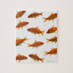 Quebra-cabeça Peixe dourado