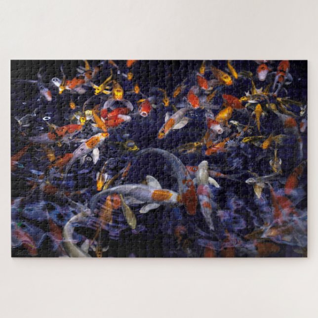 QUEBRA-CABEÇA PEIXE KOI SOBRE O FLUXO (Horizontal)