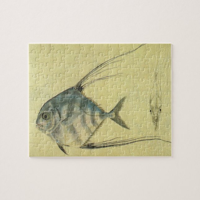 Quebra-cabeça Peixe Pompano Africano, Trevally de Barbatana Vint (Horizontal)