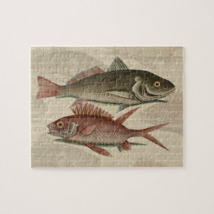 Quebra-cabeça Peixe Red Perch Pescador Art