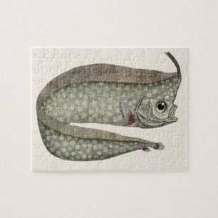 Quebra-cabeça Peixe Regaleco, Vida Marinha Aquática Vintage