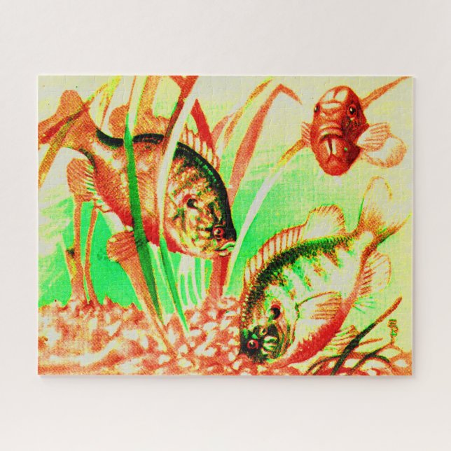 Quebra-cabeça peixe-sol de água doce (Horizontal)