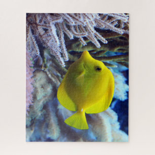 Quebra-cabeça Peixe-Tang De Saltwater Amarelo