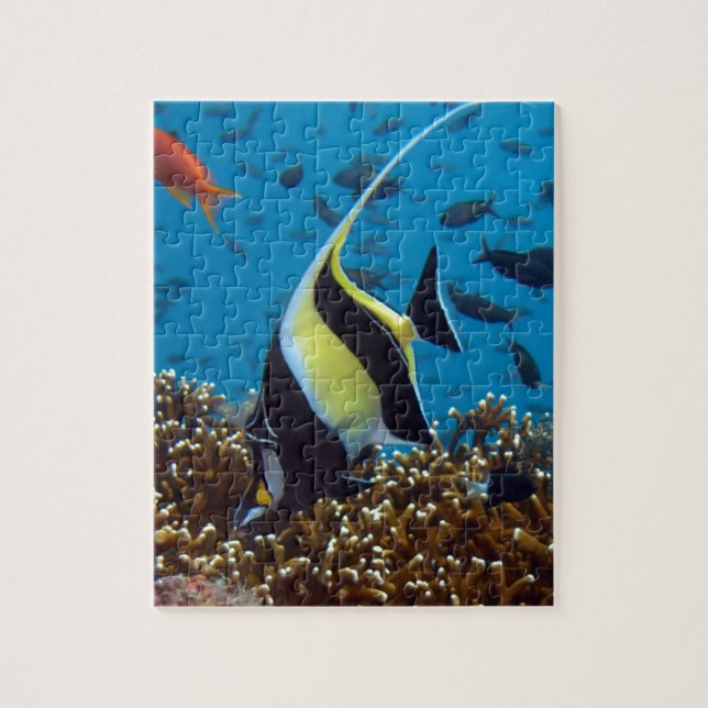 Quebra-cabeça Peixe tropical (Vertical)