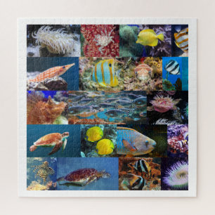 Quebra-cabeça Peixes Do Oceano Reef De Coral, 11 Anos, 676 Peças