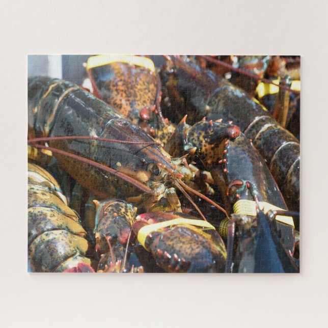 Quebra-cabeça Peixes Tropicais (Horizontal)