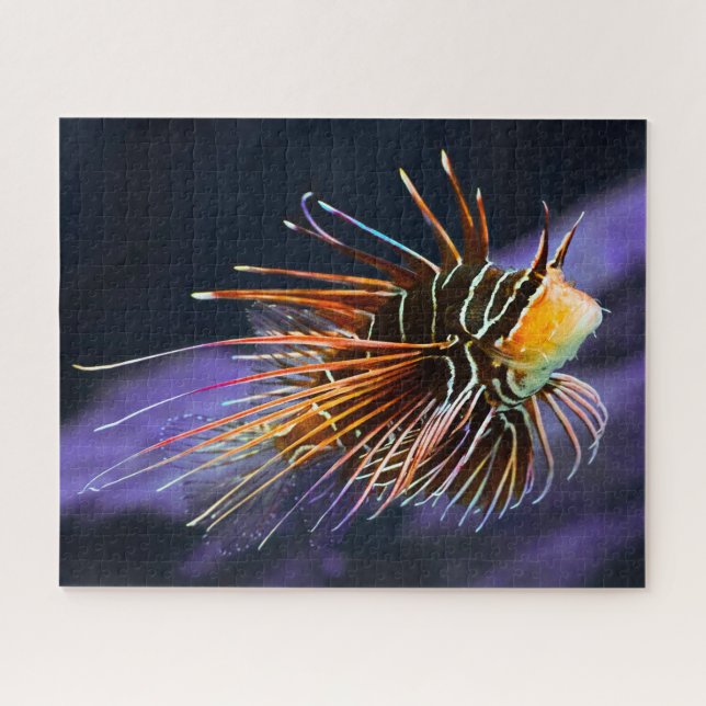 Quebra-cabeça Peixes Tropicais (Horizontal)