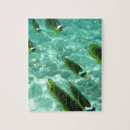 Quebra-cabeça Peixes Tropicais Submarinos