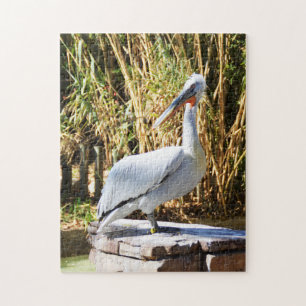 Quebra-cabeça Pelican