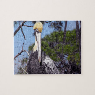 Quebra-cabeça Pelican Perch