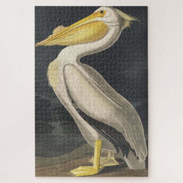 Quebra-cabeça Pelicano Branco Americano de Birds of America (Vertical)