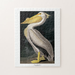 Quebra-cabeça Pelicano Branco Americano John James Audubon 11 x