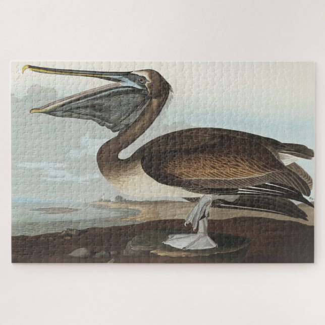 Quebra-cabeça Pelicano-marrom de Birds of America (Horizontal)