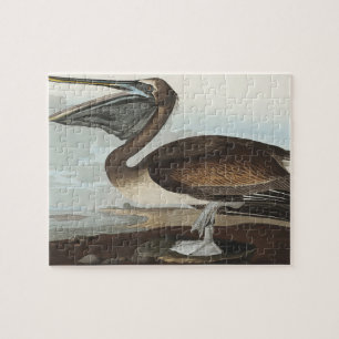 Quebra-cabeça Pelicano-marrom de Birds of America