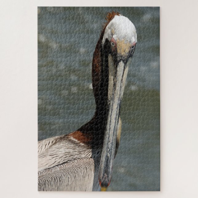 Quebra-cabeça Pelicano na natureza (Vertical)