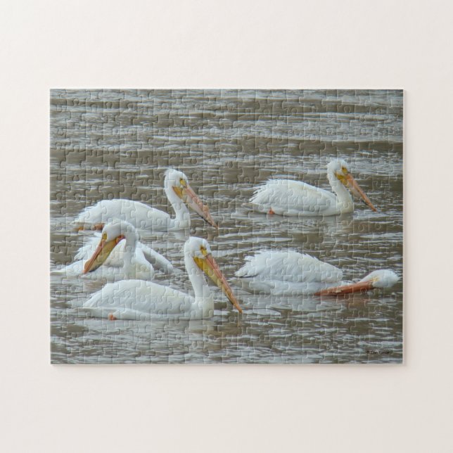 Quebra-cabeça Pelicanos Brancos B16 (Horizontal)