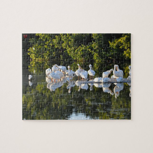 Quebra-cabeça Pelicanos da Ilha de Sanibel Flórida (Horizontal)