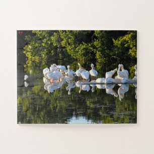 Quebra-cabeça Pelicanos da Ilha Sanibel Flórida