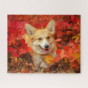 Quebra-cabeça Pembroke Welsh Corgi Puppy Dog em Folhas Vermelhas