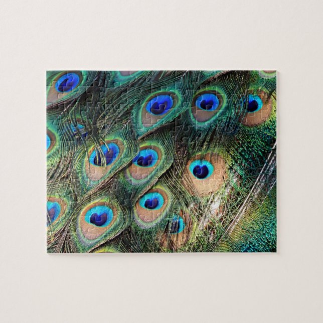 Quebra-cabeça Penas Coloridas de Peacock (Horizontal)