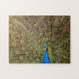 Quebra-cabeça Penas das Caudas de Peacock Elegantes