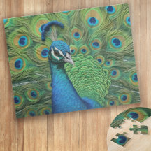 Penas de Peacock