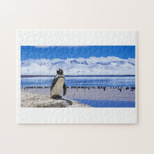 QUEBRA-CABEÇA PENGUIM DE GELO