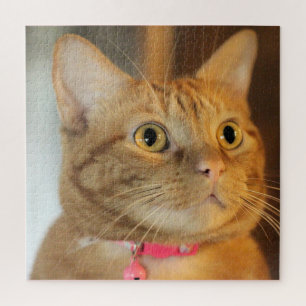 Quebra-cabeça Penny bonito