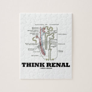 Quebra-cabeça Pense renal (a ilustração da anatomia de Nephron