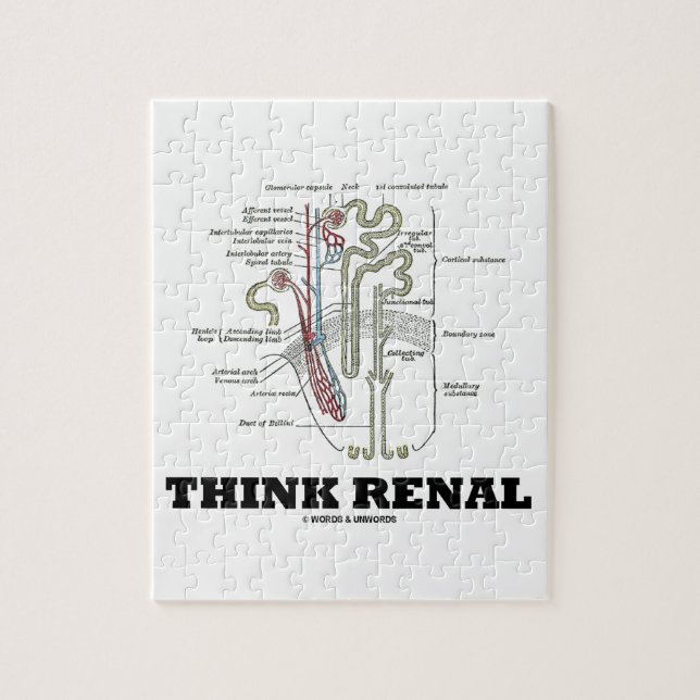 Quebra-cabeça Pense renal (a ilustração da anatomia de Nephron) (Vertical)
