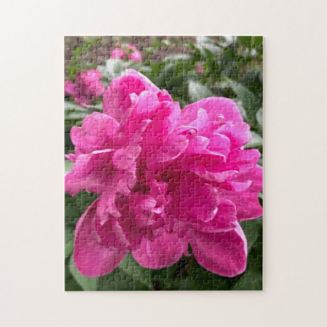 Quebra-cabeça Peônia Rosa (Vertical)