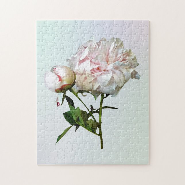 Quebra-cabeça Peônia Rosa Pálida e Botão (Vertical)