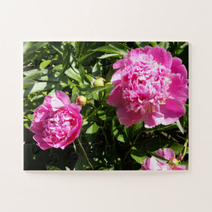 Quebra-cabeça Peônias cor-de-rosa escuro