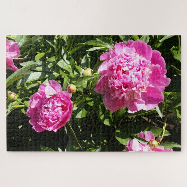 Quebra-cabeça Peônias cor-de-rosa escuro (Horizontal)