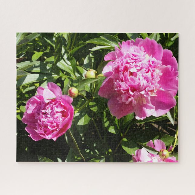Quebra-cabeça Peônias cor-de-rosa escuro (Horizontal)