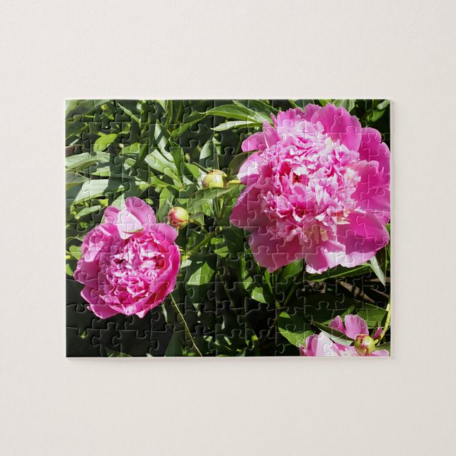Quebra-cabeça Peônias cor-de-rosa escuro (Horizontal)