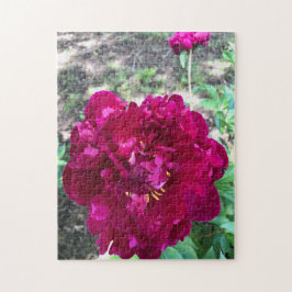 Quebra-cabeça Peony