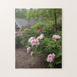 Quebra-cabeça Peony Garden