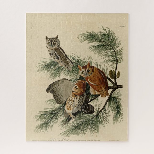 Quebra-cabeça Pequena Coruja das Aves da América de Audubon (Vertical)