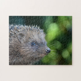 Quebra-cabeça Pequeno ouriço