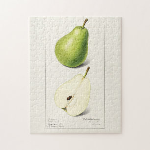 Quebra-cabeça Pera (Pyrus Communis) Fruta Moleração de Aquarel
